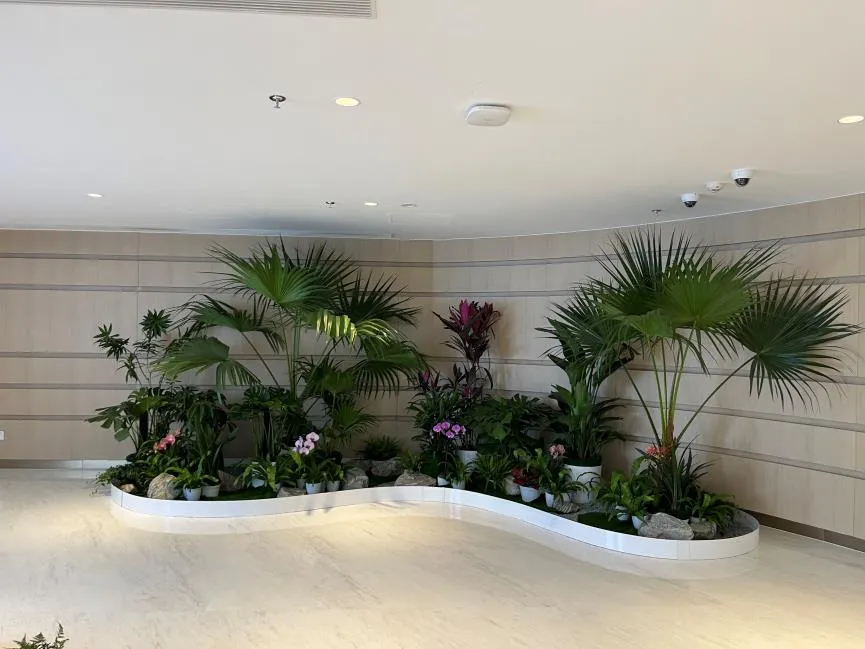 想让空间添彩？余姚花卉租赁，多样花卉随心搭